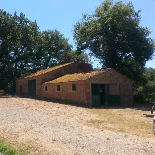 Progetto di agricoltura sociale in Valdarno